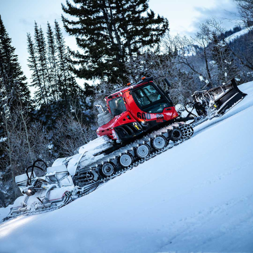 PistenBully  600 Polar ParkPro